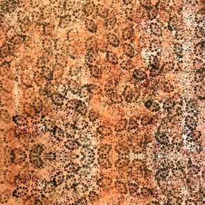 Close-up of a textured brown and orange surface