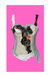Decorative corset with floral and ribbon details on a pink background