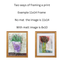 Two framed artworks with text explaining frame options and dimensions.
