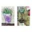 Two artistic illustrations of a purple vase with greenery and a decorative brooch on a textured background.