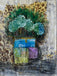 still life of blue flowers in a yellow purple vase