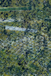 Apache Forest — Textured Green Abstract by Sara Palacios
