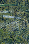 Apache Forest — Textured Green Abstract by Sara Palacios