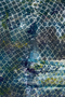 Ashley Forest — Deep Woodland Abstract by Sara Palacios