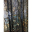 Black Velvet Bordered Curtains - Curtains & Drapes - Set of 2 - Sara Palacios Designs